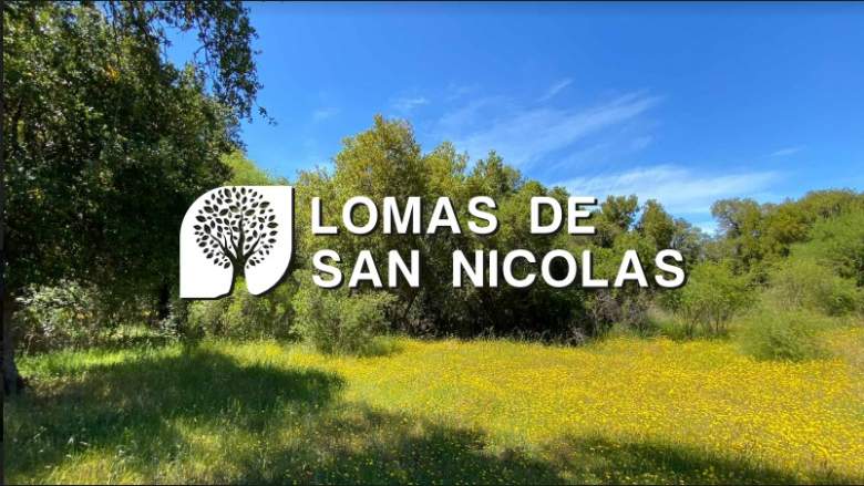 Venta Terreno San nicolás - Ñuble