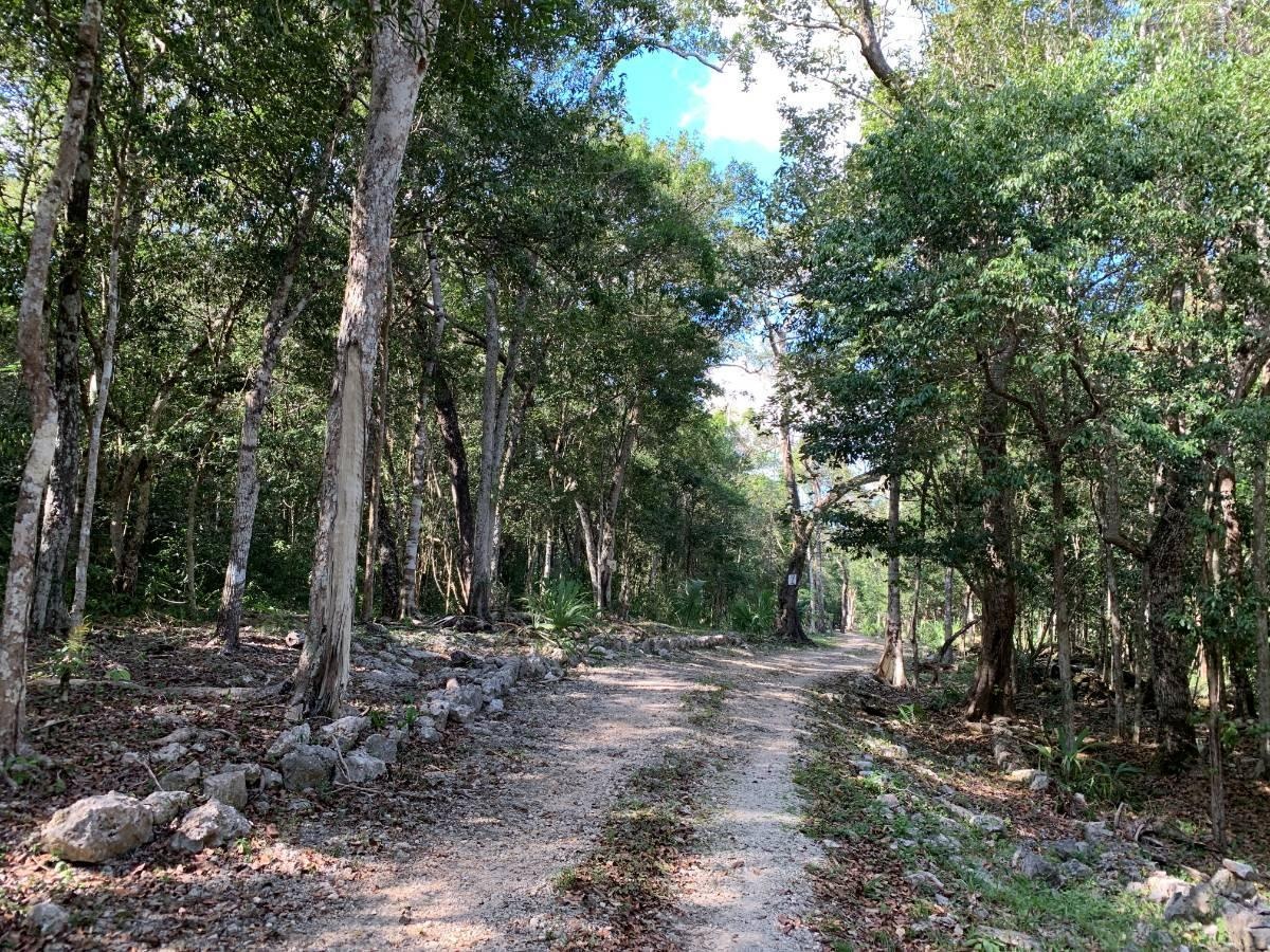 Venta Lote Macario Gómez - Tulum