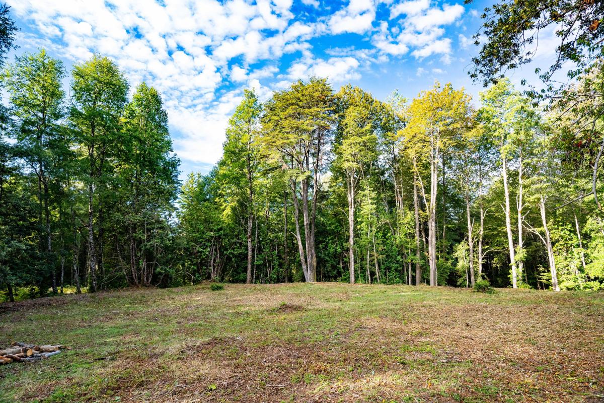 Venta Terreno Pucón - La Araucanía