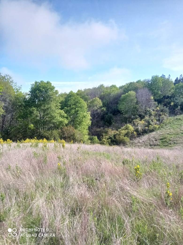 Venta Terreno Cobquecura - Ñuble