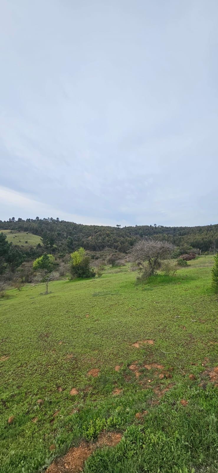 Venta Terreno Chillán - Ñuble