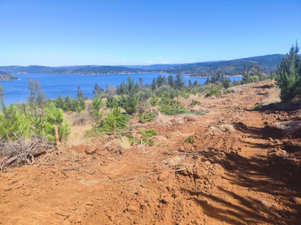 Venta Parcela Lago Vichuquen - Maule