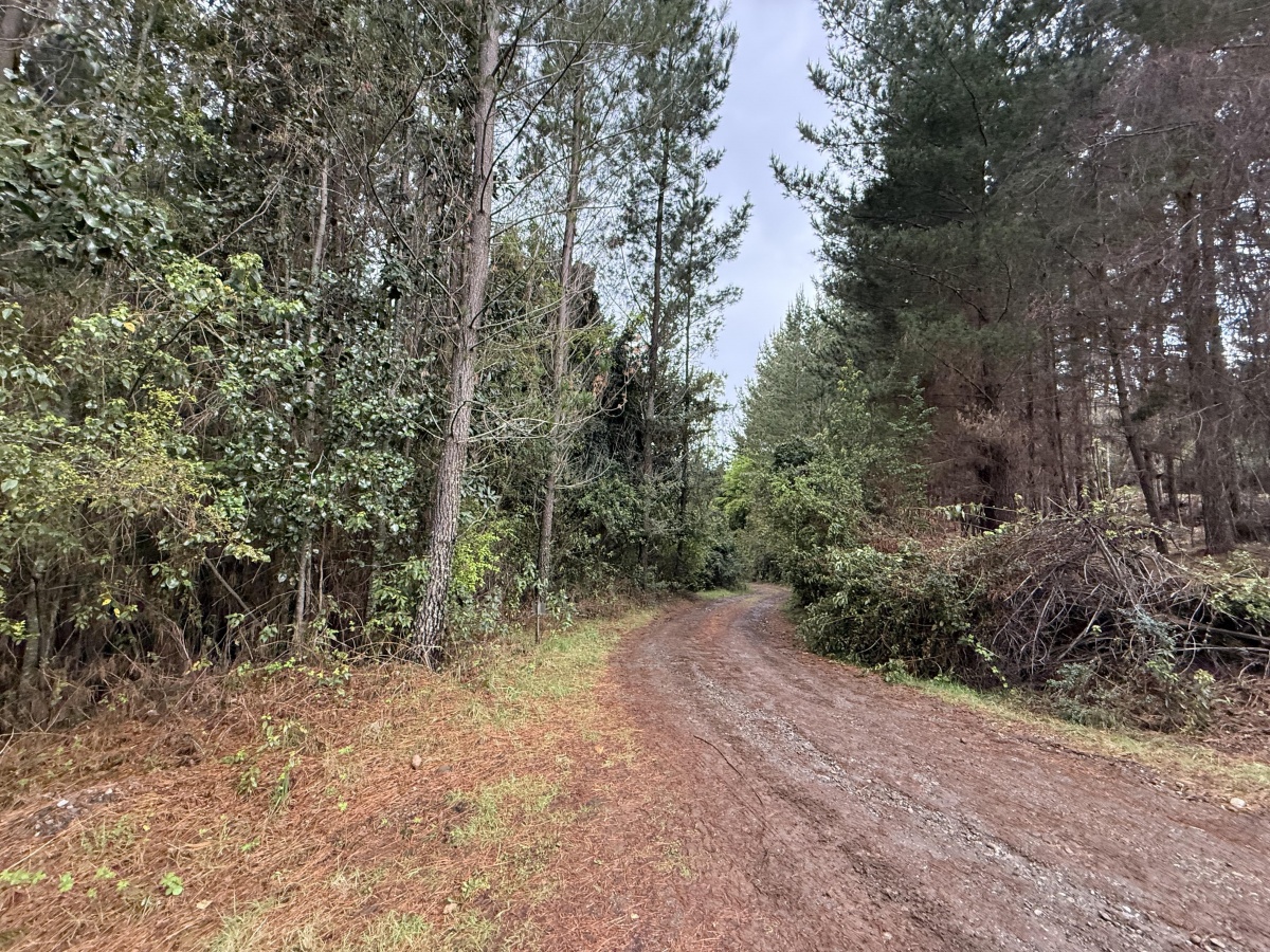 Venta Parcela Villarrica - La Araucanía