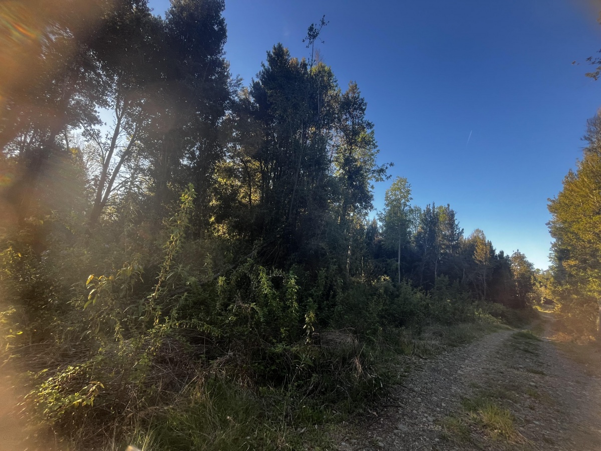Venta Terreno Loncoche - La Araucanía