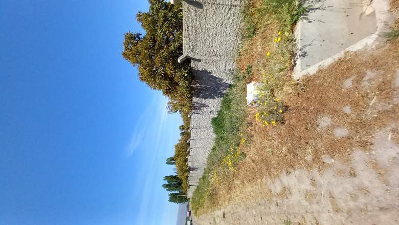 Venta Agrícola La cruz - Valparaíso