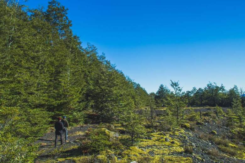 Venta Terreno Pucón - La Araucanía