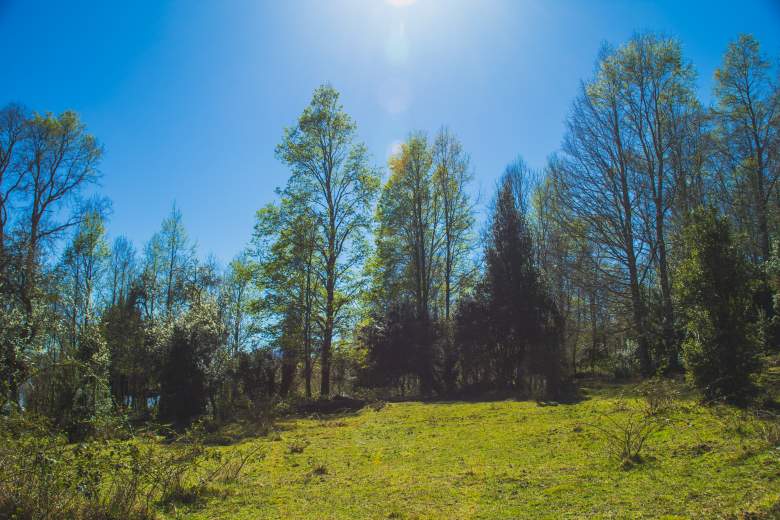 Venta Terreno Pucón - La Araucanía