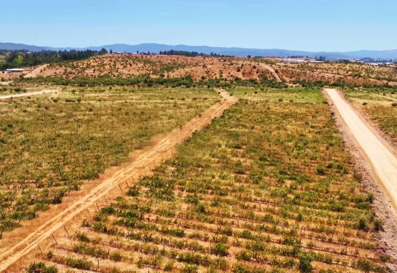 Venta Terreno Cauquenes - Maule