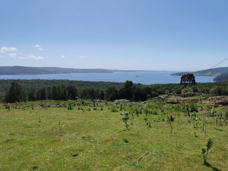 Venta Terreno Quellón - Los Lagos