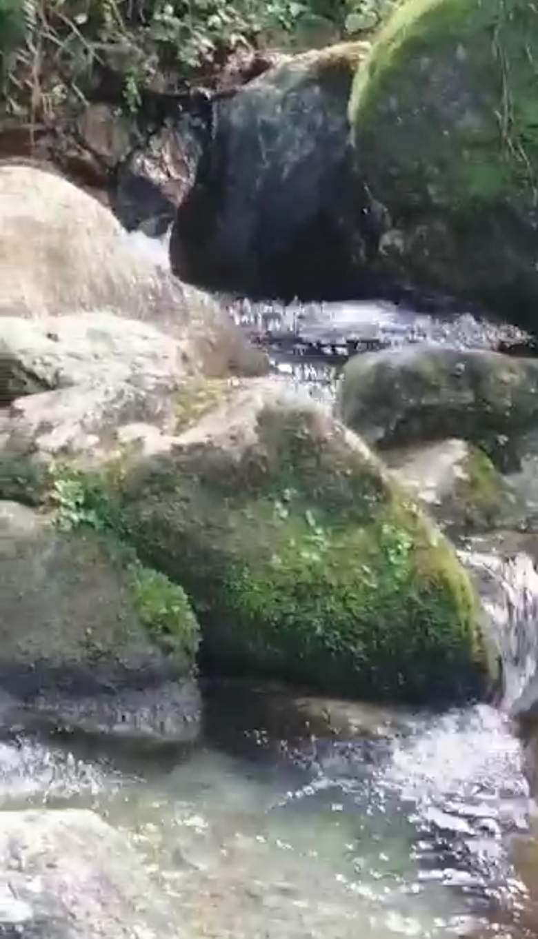 Venta Agrícola Xopanapa - Huauchinango