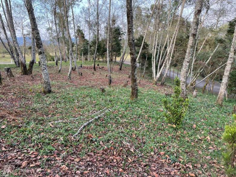 Venta Terreno / Lote Puga - Huauchinango