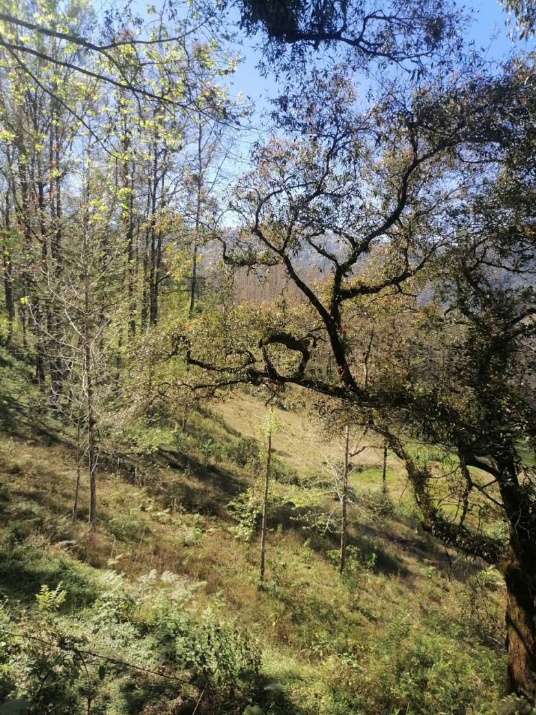 Venta Terreno / Lote Huilacapixtla - Huauchinango