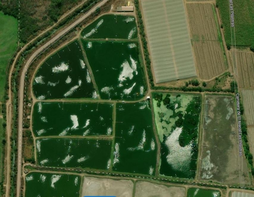 Venta Rancho Coquimatlán - Coquimatlán