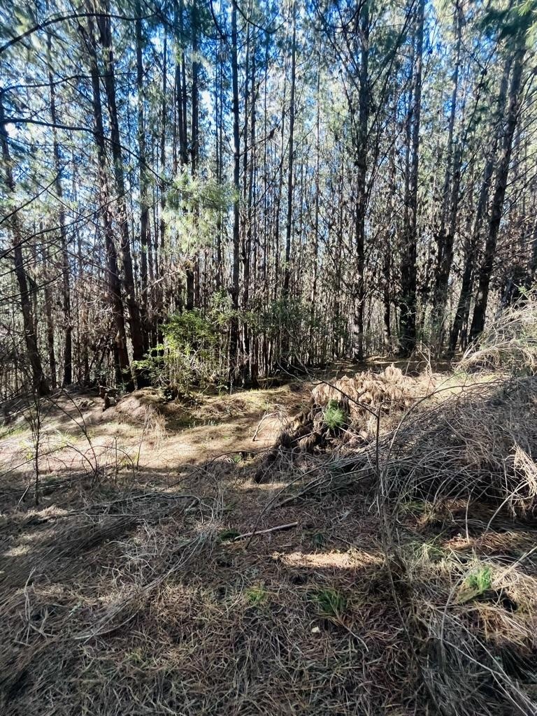 Venta Terreno Cobquecura - Ñuble