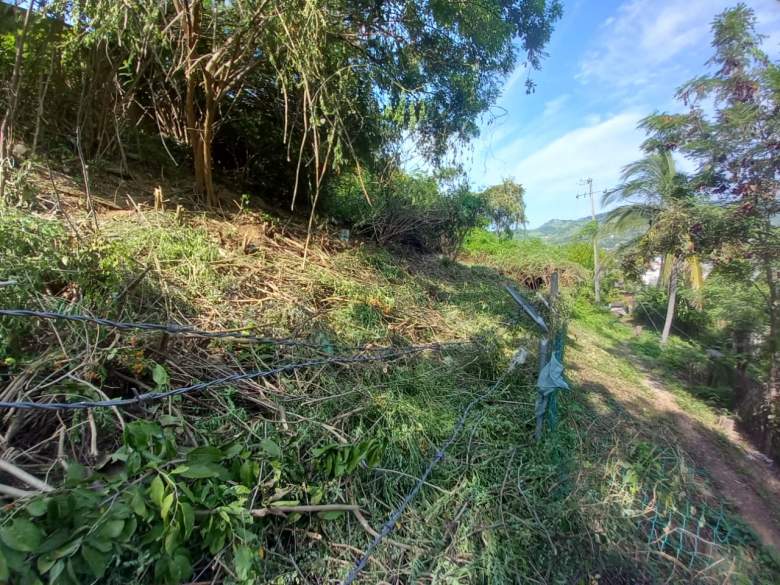 Venta Lote El Tanque - Técpan de Galeana