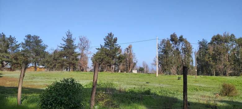 Venta Terreno La ballena - Valparaíso