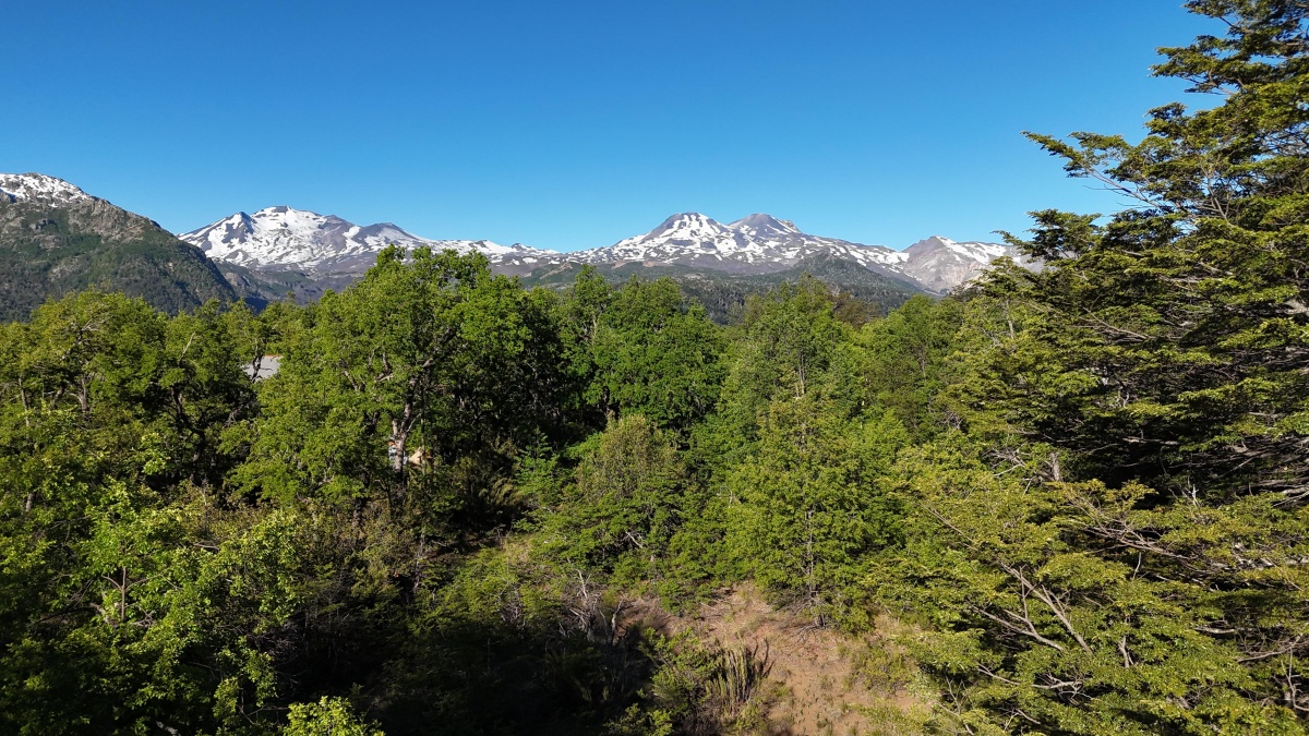 Venta Terreno Pinto - Ñuble