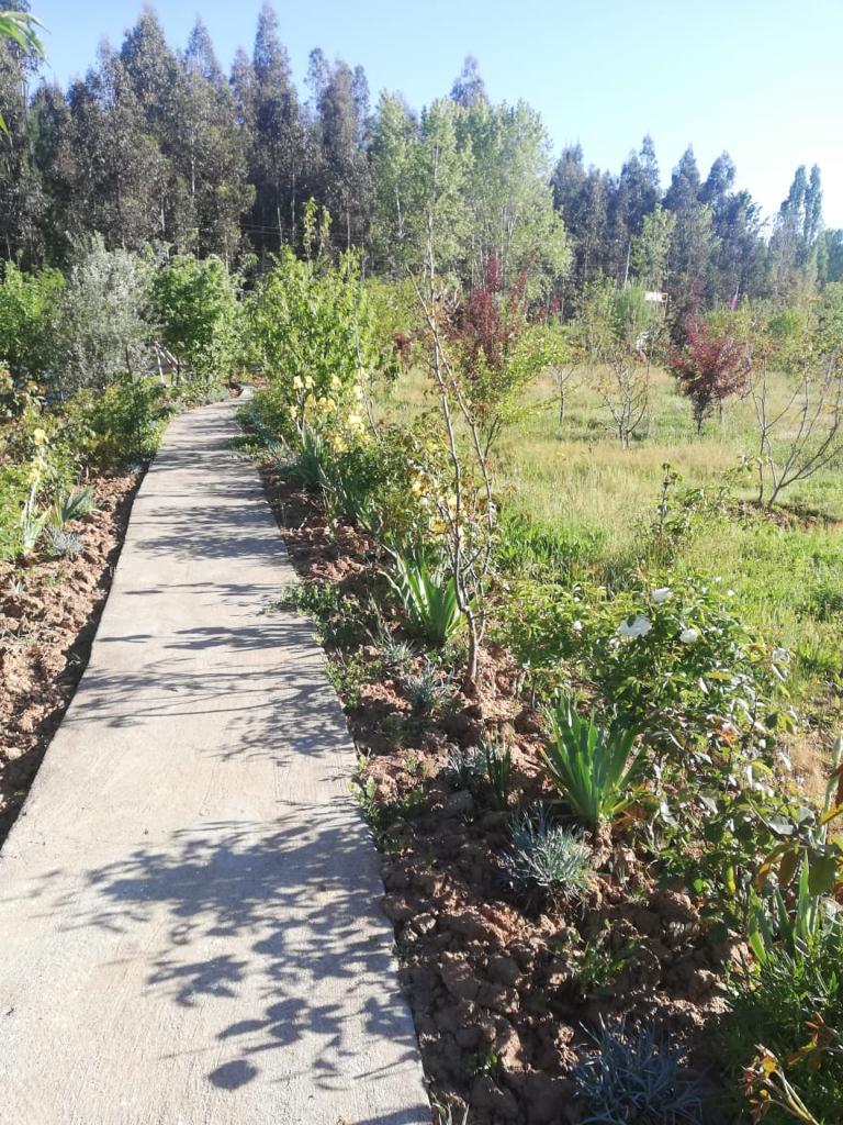 Venta Agrícola Cabrero - Biobío