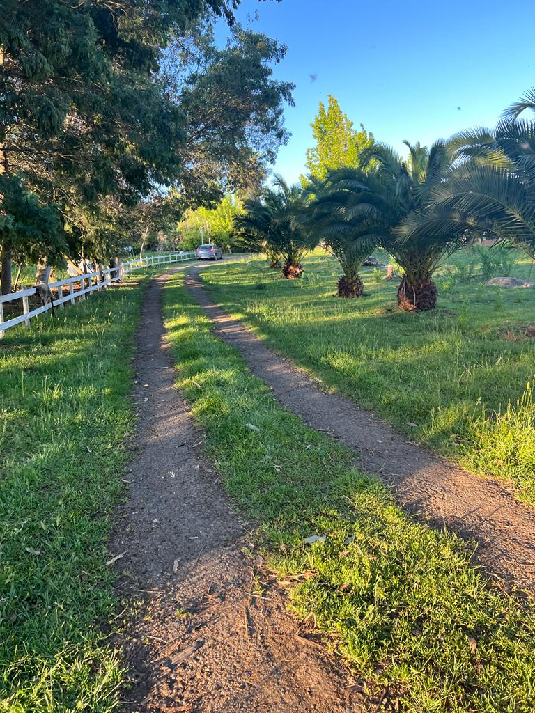 Venta Terreno San Rafael - Maule