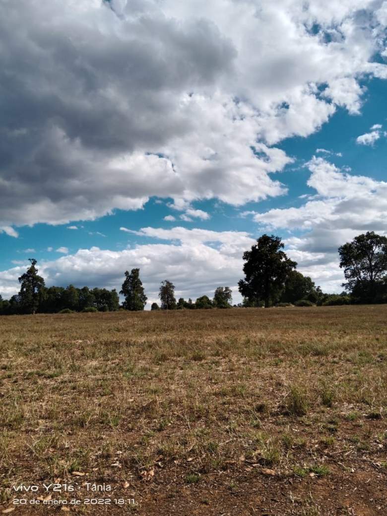 Venta Sitio Victoria - La Araucanía