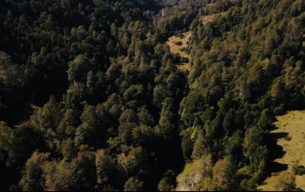 Venta Terreno Vilcún - La Araucanía