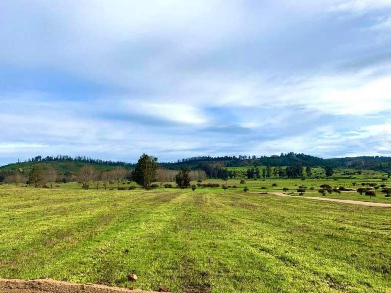 Venta Terreno Vichuquén - Maule