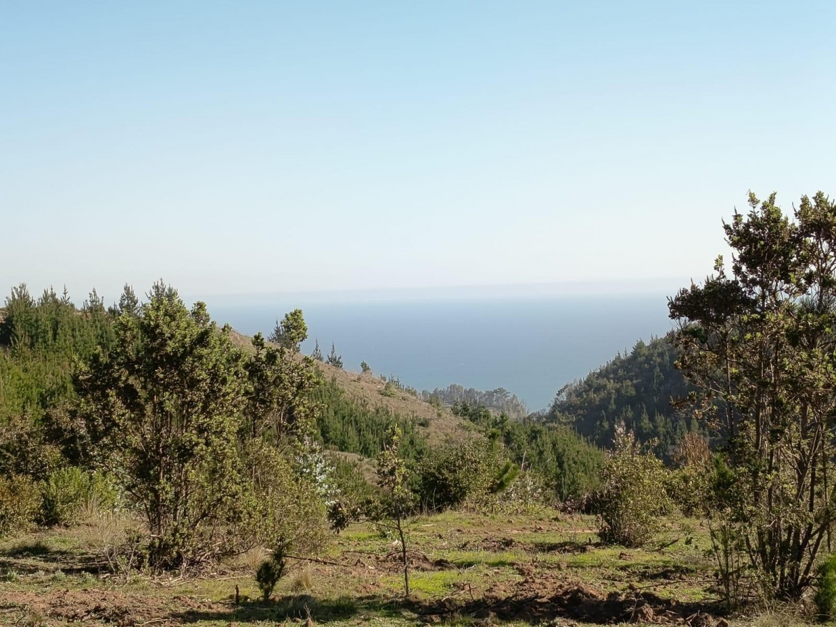 Venta Sitio Matanzas - O'Higgins