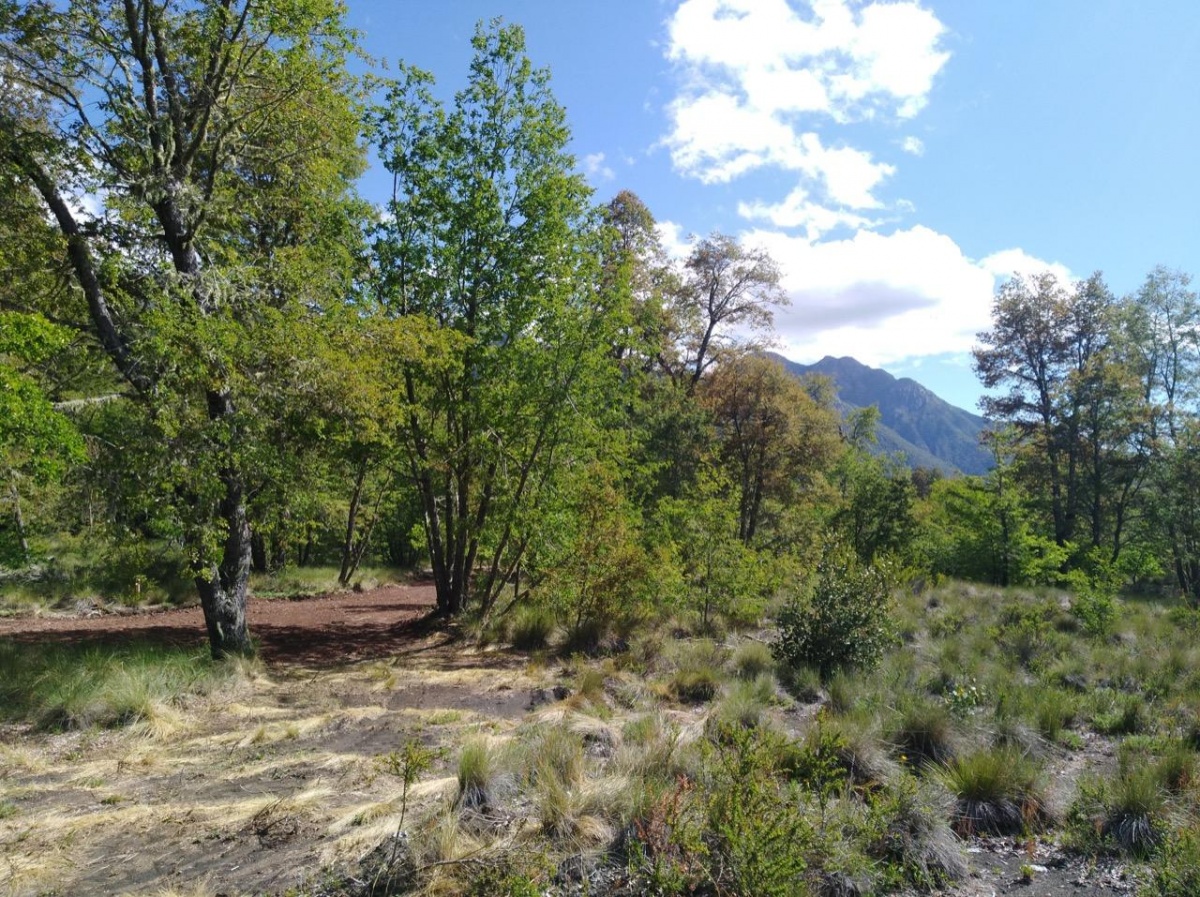 Venta Parcela Pinto - Ñuble