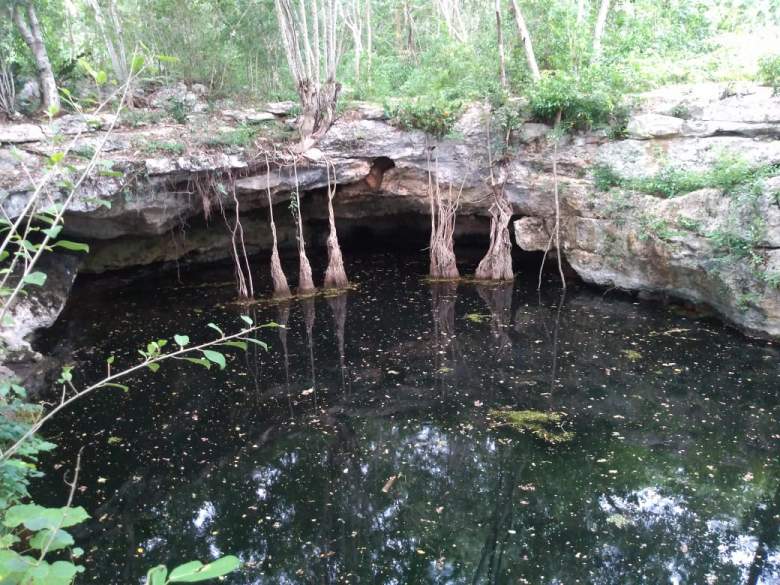 Venta Rancho Buctzotz - Buctzotz