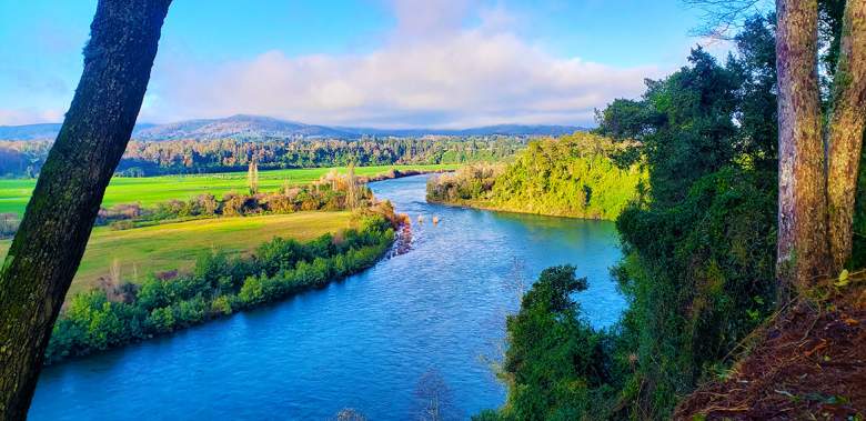 Venta Terreno Los Lagos - Los Ríos