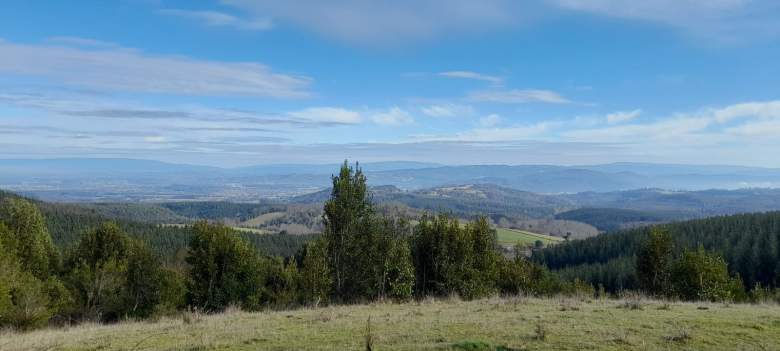 Venta Terreno Mariquina - Los Ríos