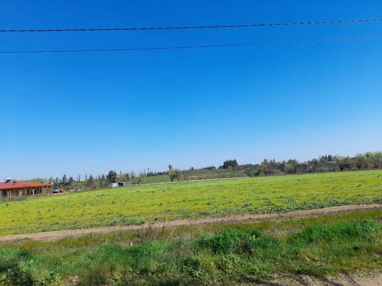 Venta Terreno Pelarco - Maule