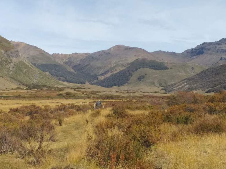 Venta Terreno Antuco - Biobío