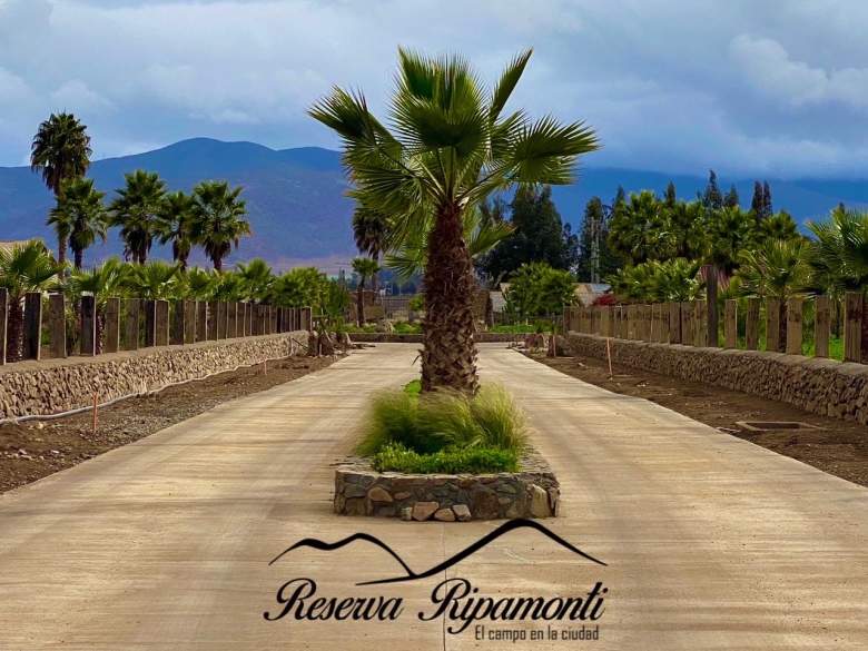 Venta Terreno La Serena - Coquimbo