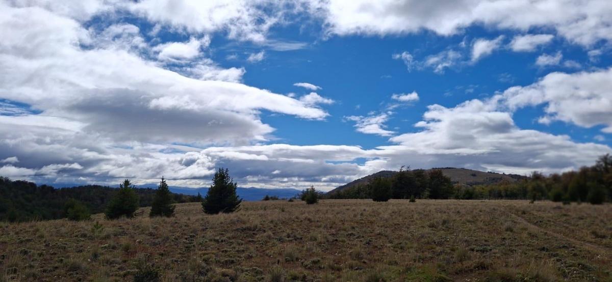 Venta Terreno Coyhaique - Aysén