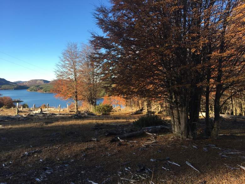 Venta Terreno Coyhaique - Aysén