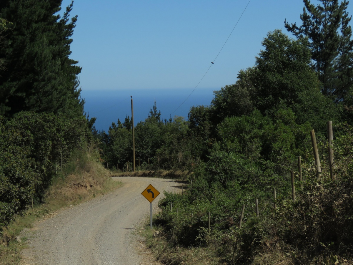 Venta Terreno Buchupureo - Ñuble
