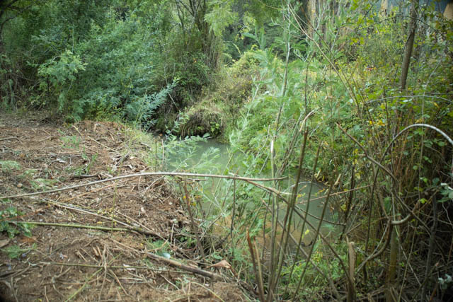 Venta Terreno Hualqui - Biobío