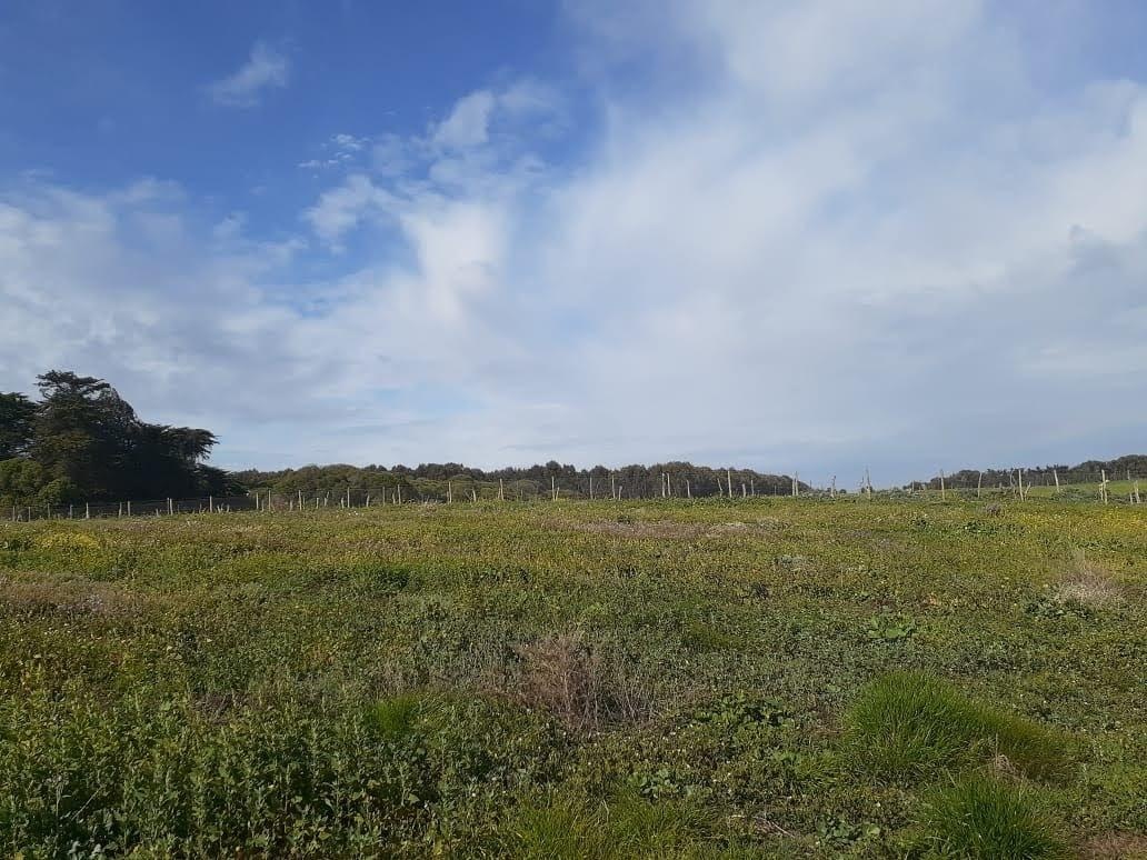 Venta Parcela Santo Domingo - Valparaíso