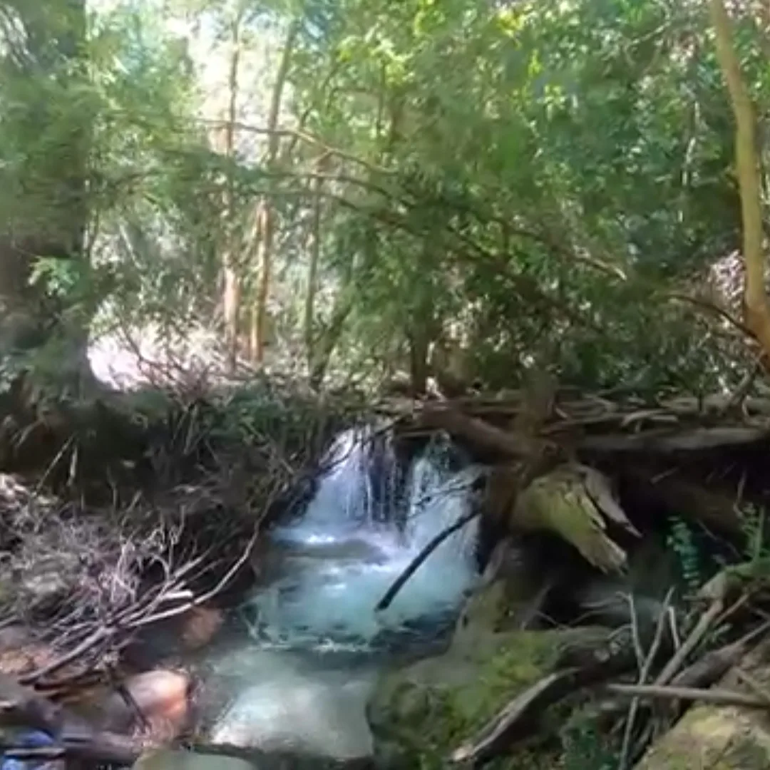 Venta Terreno Futaleufú - Los Lagos