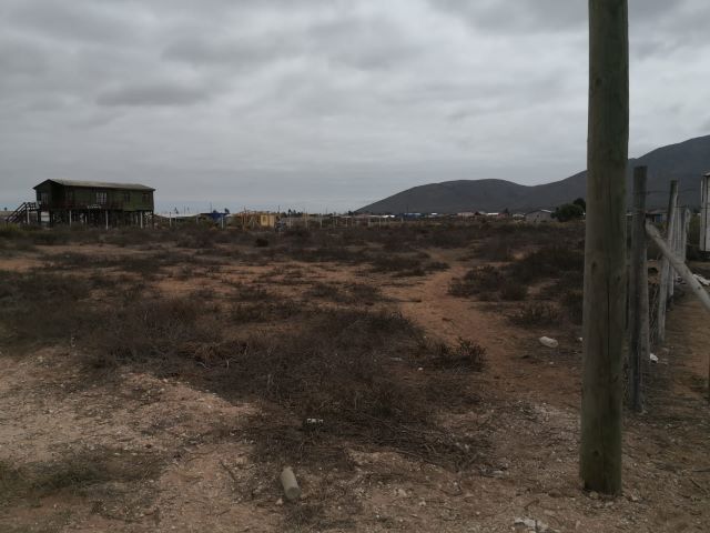 Venta Agrícola Guanaqueros - Coquimbo