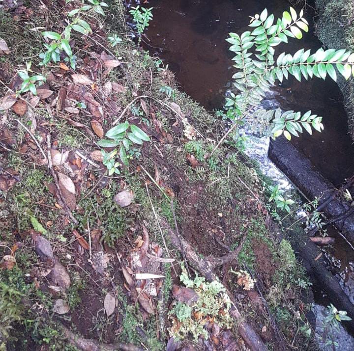 Venta Terreno Hualaihué - Los Lagos