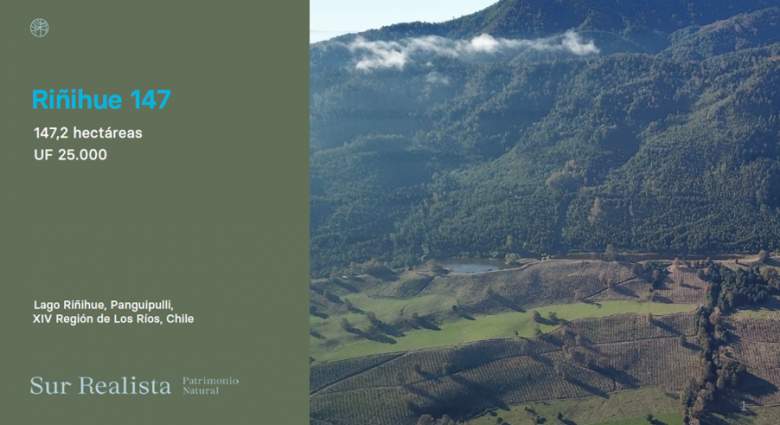 Venta Terreno Riñihue - Los Ríos