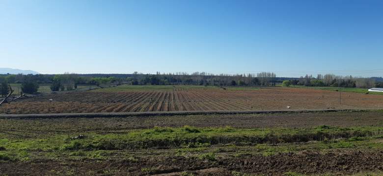 Venta Terreno Chillán - Ñuble