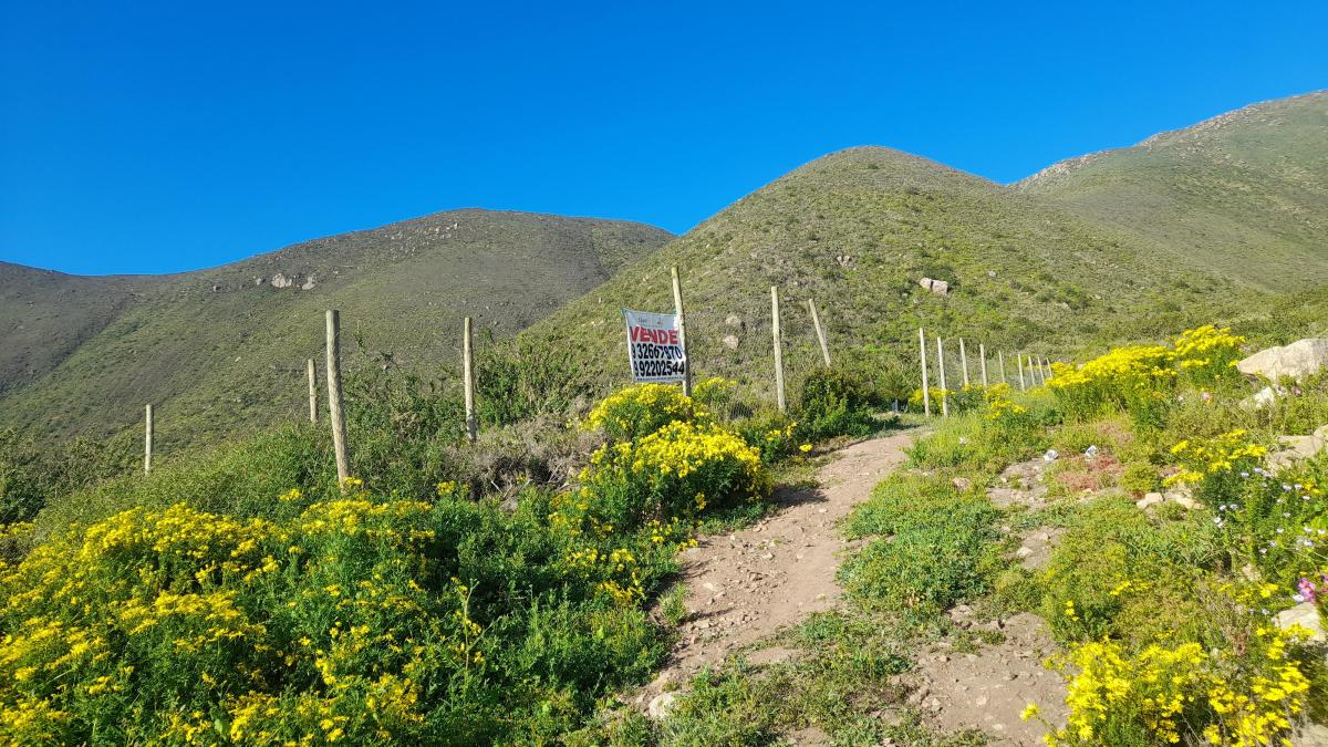 Venta Terreno La Serena - Coquimbo