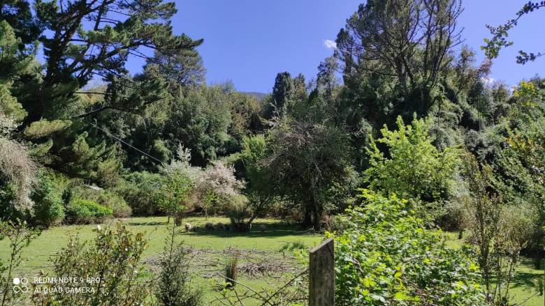 Venta Terreno Río Puelo - Los Lagos