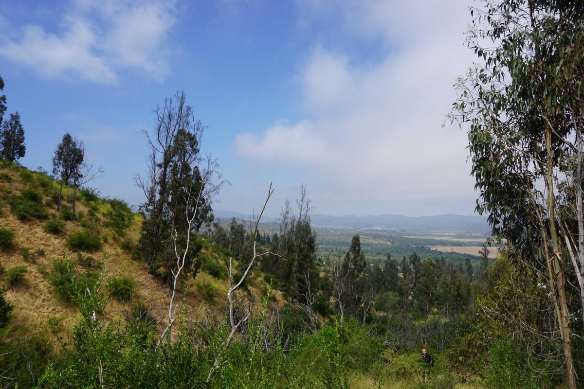 Venta Parcela Casablanca - Valparaíso