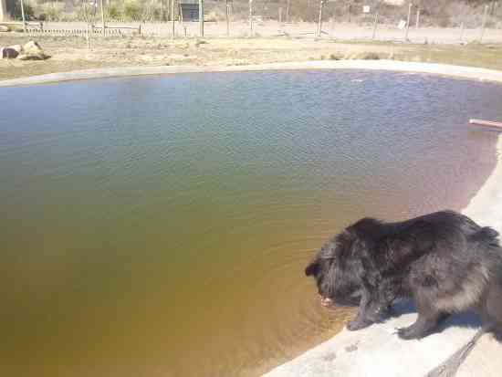 Venta Terreno Alto hospicio - Tarapacá