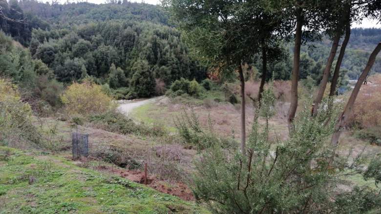 Venta Terreno Concepción - Biobío