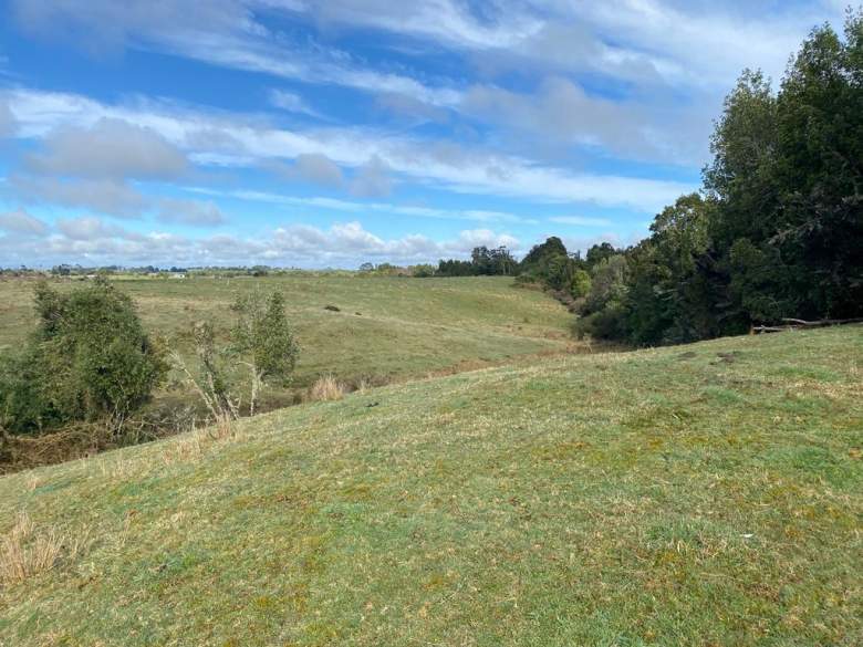 Venta Terreno Ancud - Los Lagos